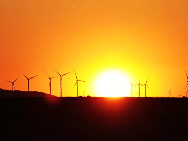 Sunset over a sugar field