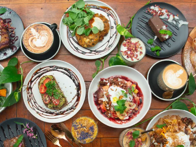 Mixed plates of food