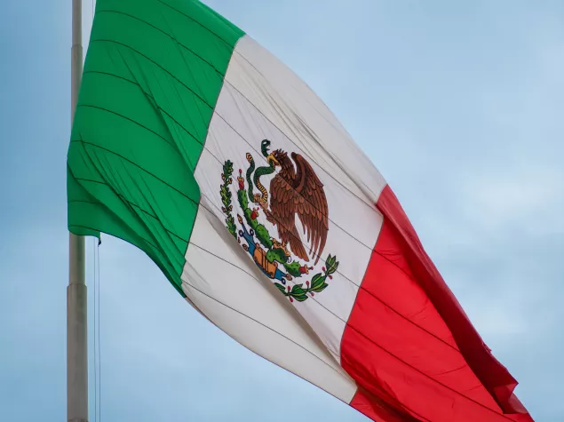 Mexico flag