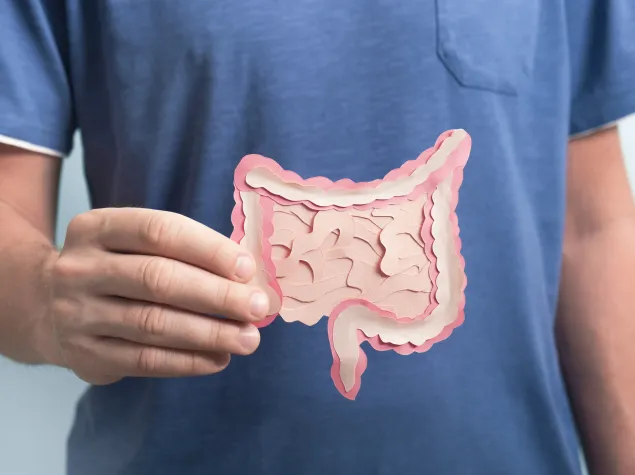 Image of the gut