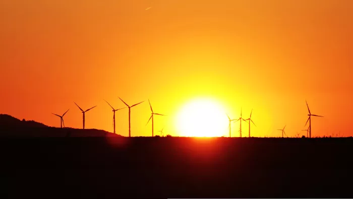 Sunset over a sugar field 