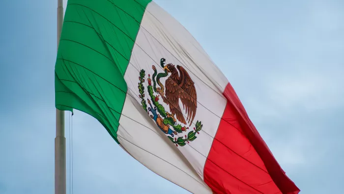 Mexico flag