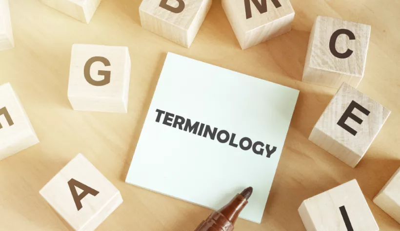 Terminology 