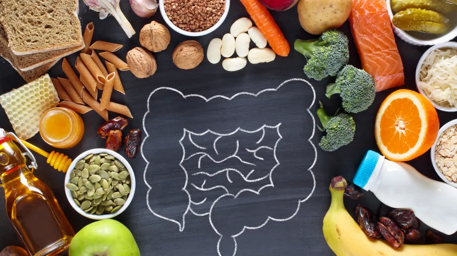 Image of the gut surrounded by healthy food
